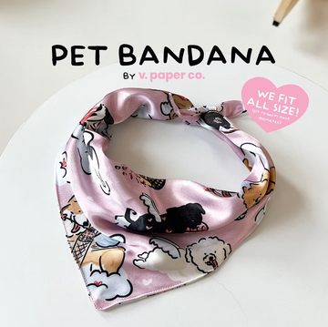 V Paper Co Stupid Cupid Pet Bandana