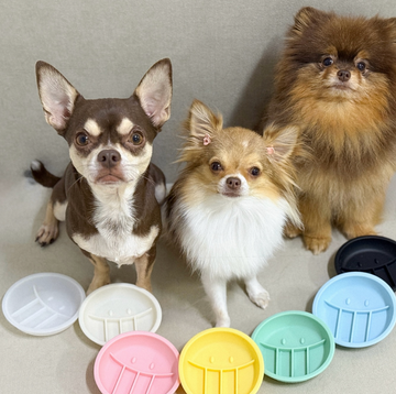 Silicone Lab Korea Happy Bowl