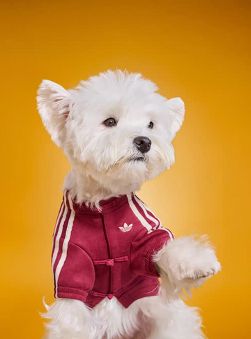*LIMITED DROP* Adidas Originals Pet Jacket (Chinese New Year)
