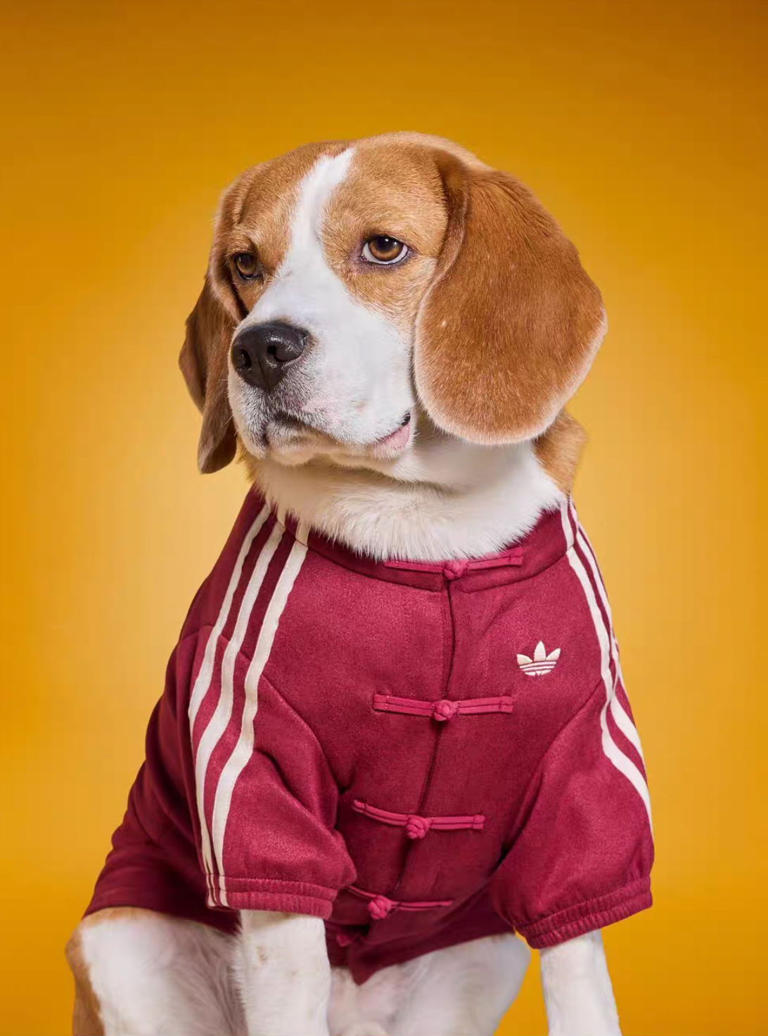 *LIMITED DROP* Adidas Originals Pet Jacket (Chinese New Year)
