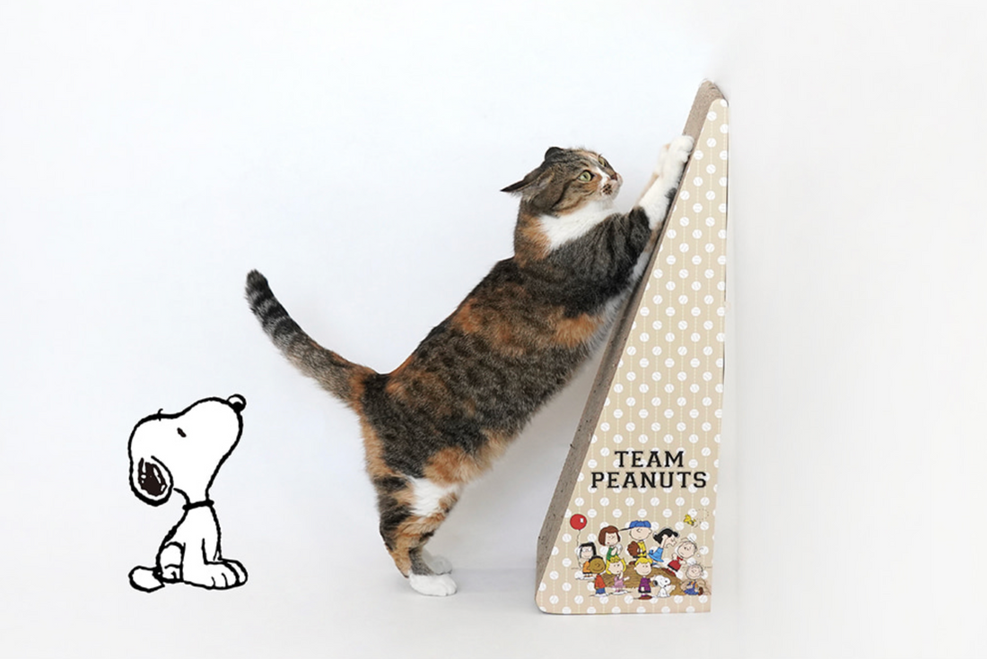 Peanuts Korea Cat Scratcher