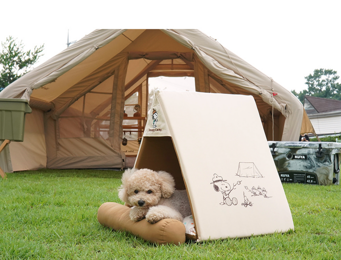 Peanuts Adventure Tent House