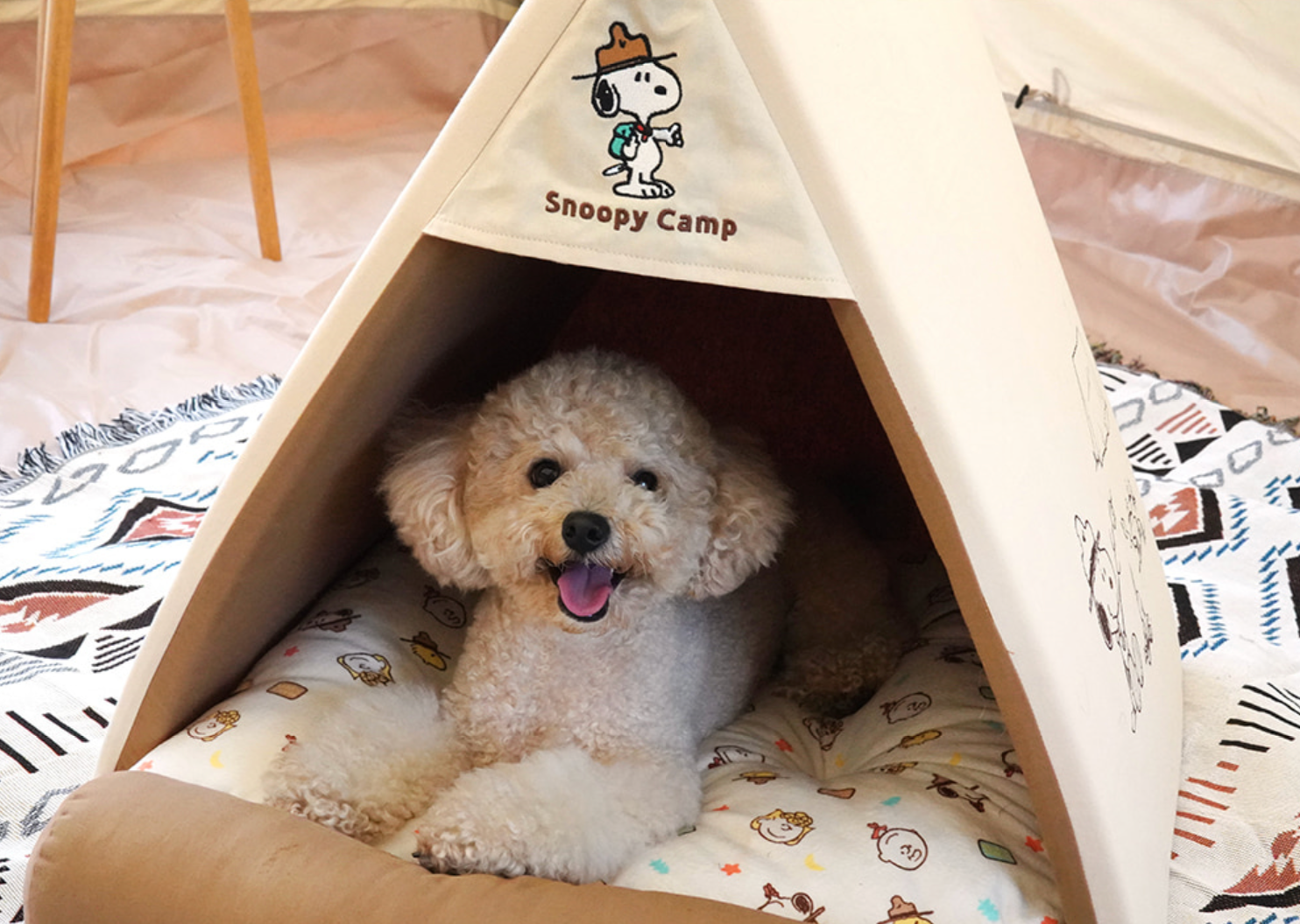 snoopy tent Peanuts Adventure Tent House