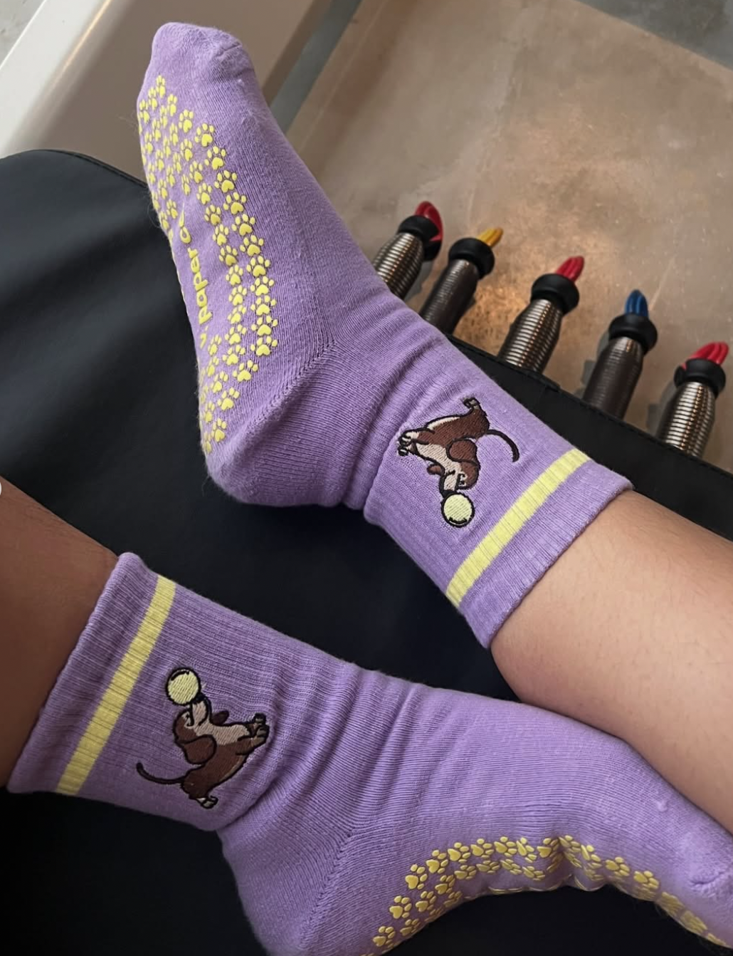 V Paper Co Purple Dashchund Pilates Socks