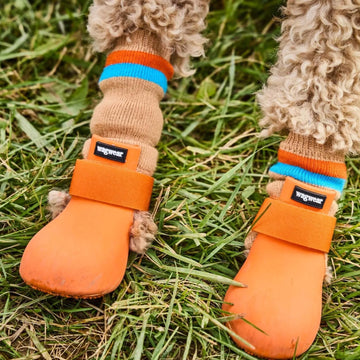 Wagwear WagWellies® Dog Boots