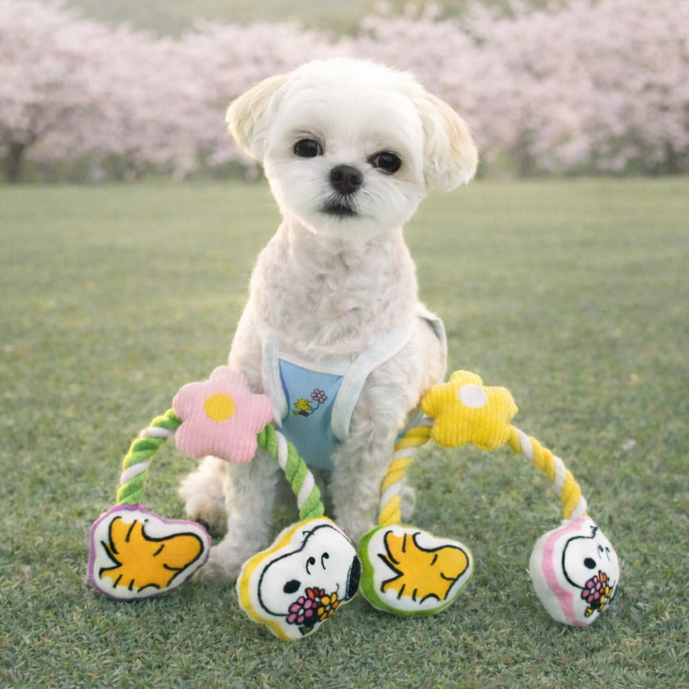 Peanuts Korea Flower Rope Tug Toy with Squeaker and Crinkle Paper for Dogs