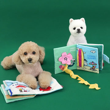 Peanuts Korea Four Season Book Snuffle Toy