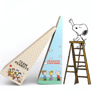 Peanuts Korea Cat Scratcher