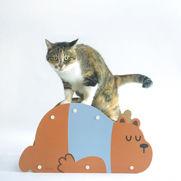 Pariscat Korea 3D Cat Scratcher