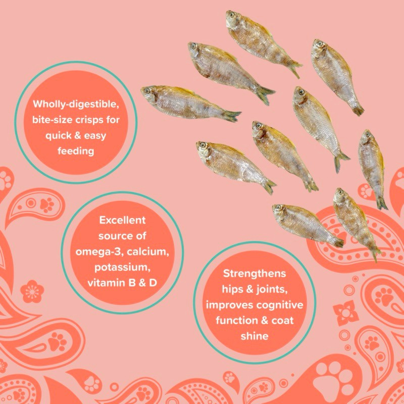 Furmily Ikan Bilis (Anchovies) Handmade Pet Treats (50g)