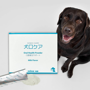 Silversky Mind Up KENKO CARE Oral Health Powder