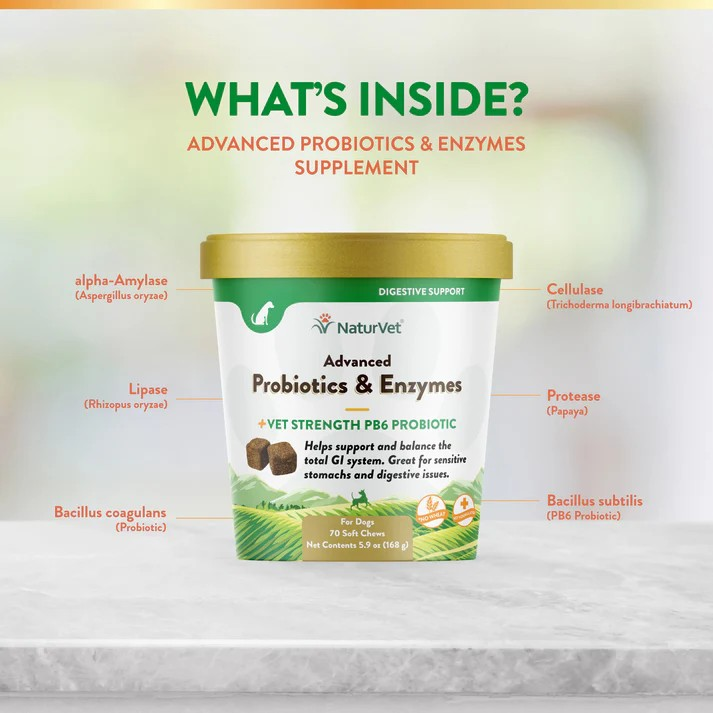 Silversky NaturVet Advanced Probiotics & Enzymes