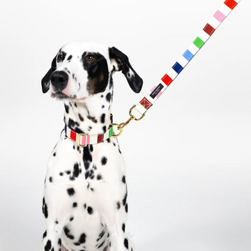 Kate Spade Adventure Stripe Collar / Leash / Bow Tie