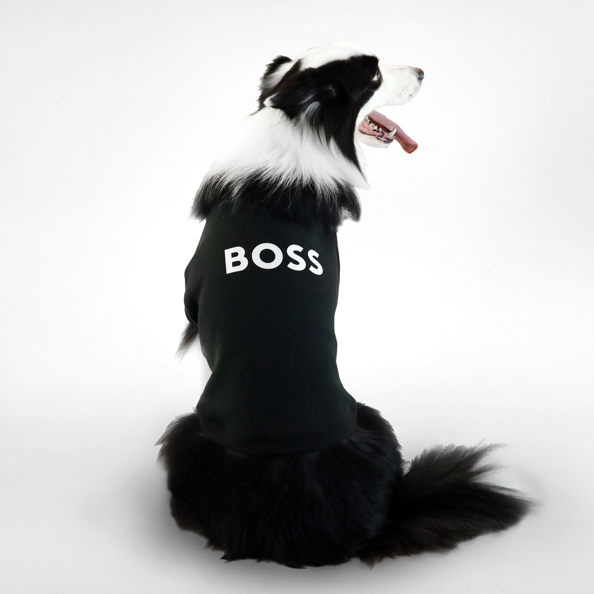 BOSS Dog Essentials Short Sleeve Crewneck