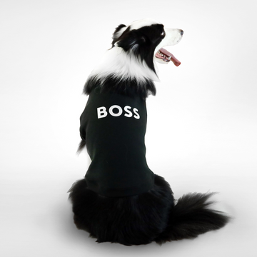 BOSS Dog Essentials Short Sleeve Crewneck