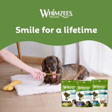 Silversky Whimzees Dog Soft Dental Treats