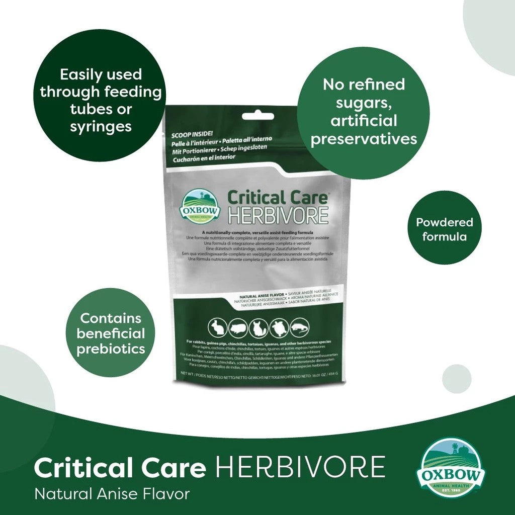 Oxbow Critical Care Herbivore Small Animal Recovery Food