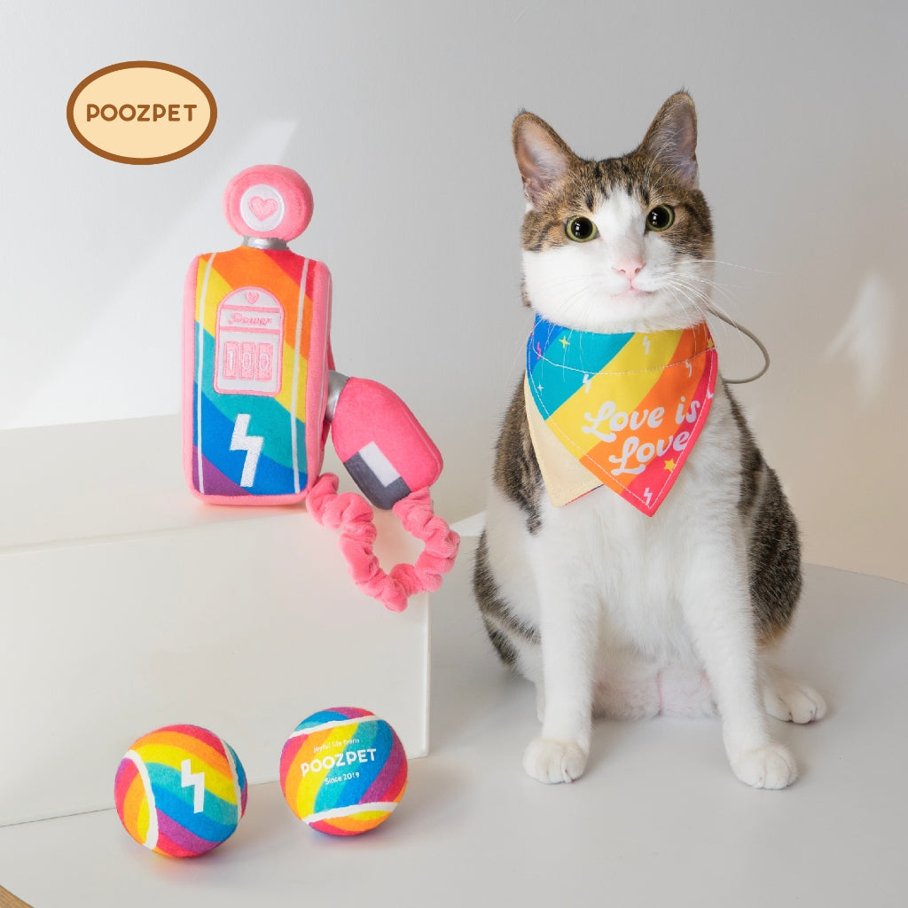 Poozpet Recharge with Pride Toys