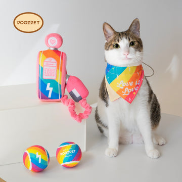Poozpet Recharge with Pride Toys