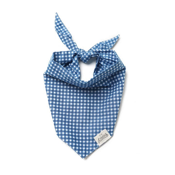 The Paws Blue Gingham Bandana