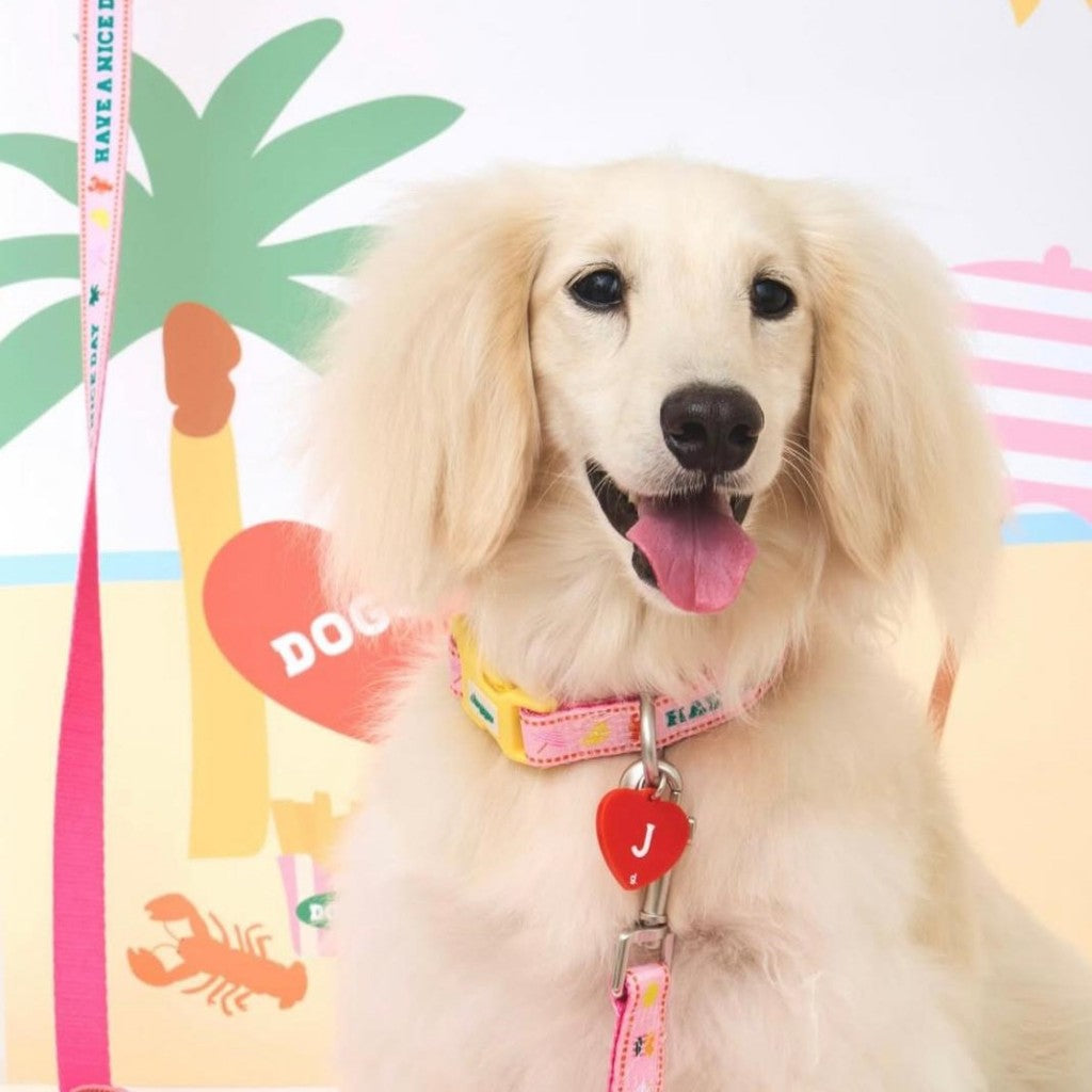 Doggu Bonjour Bebe Collar / Leash