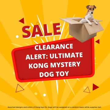 Clearance Alert: Ultimate Kong Mystery Dog Toy – Unbeatable Prices, Limited Stock!