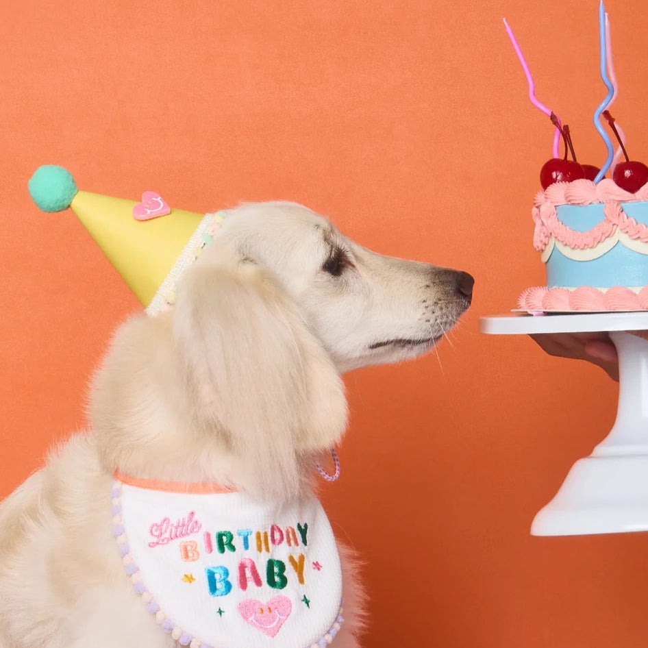 Doggu Pets Vegan Leather Birthday Party Hat Dogs / Cats