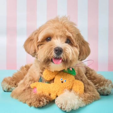 Doggu Ogo Ogo Pet Plushie Keychain