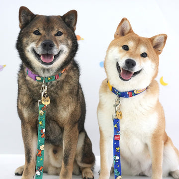 Peanuts Korea Harness / Leash for Dogs