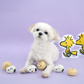 Peanuts Korea Latex Squeaky Toy Set for Dogs