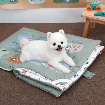 Peanuts Korea Beagle Scouts Book Cushion Mat for Dogs