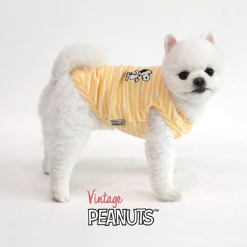 Peanuts Korea Vintage Striped Shirt for Pets