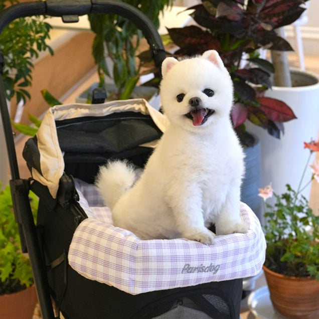 ParisDog Korea Multifunctional Pet Carrier with Stroller Guard