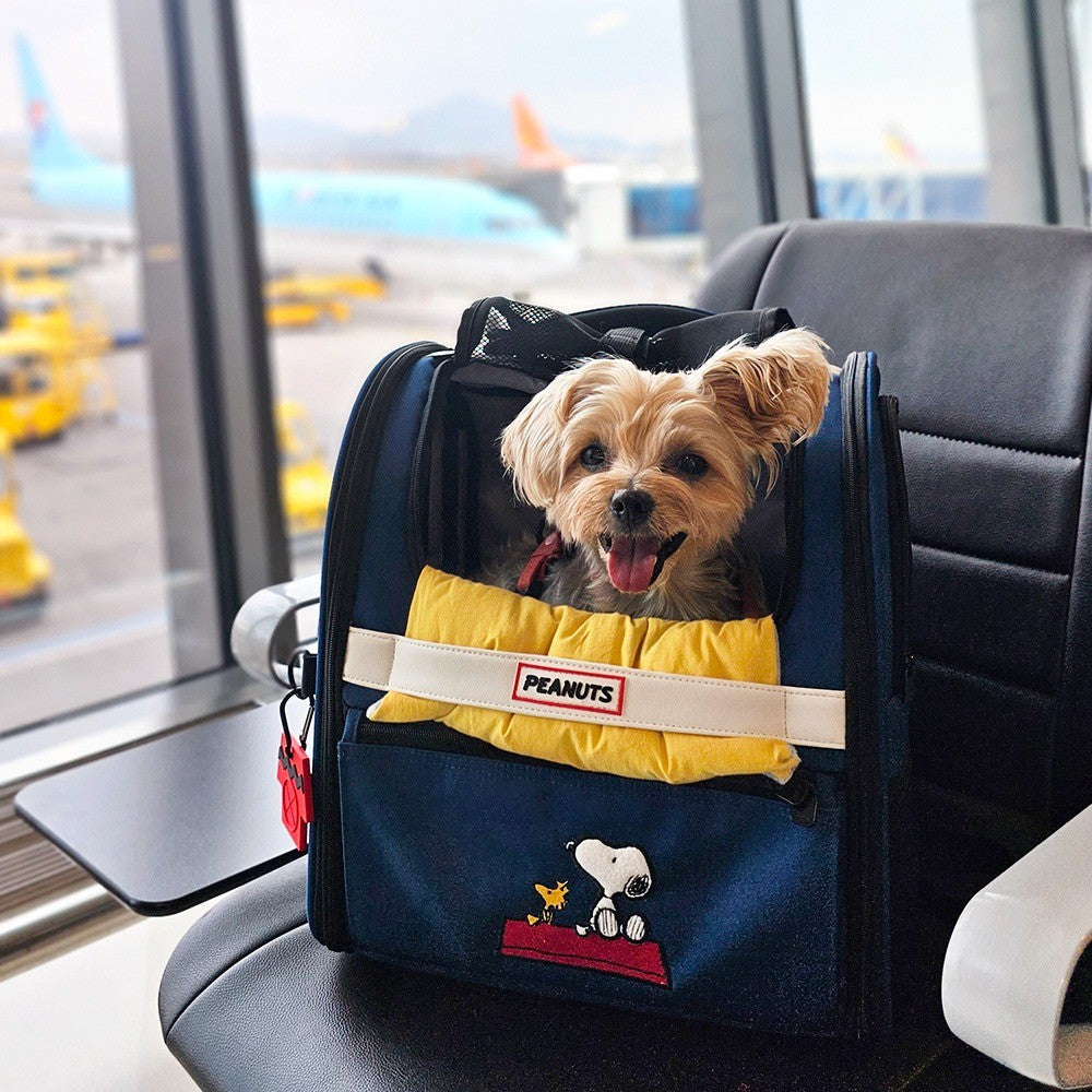 Peanuts Korea Front Pet Carrier / Backpack