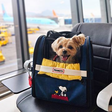 Peanuts Korea Front Pet Carrier / Backpack
