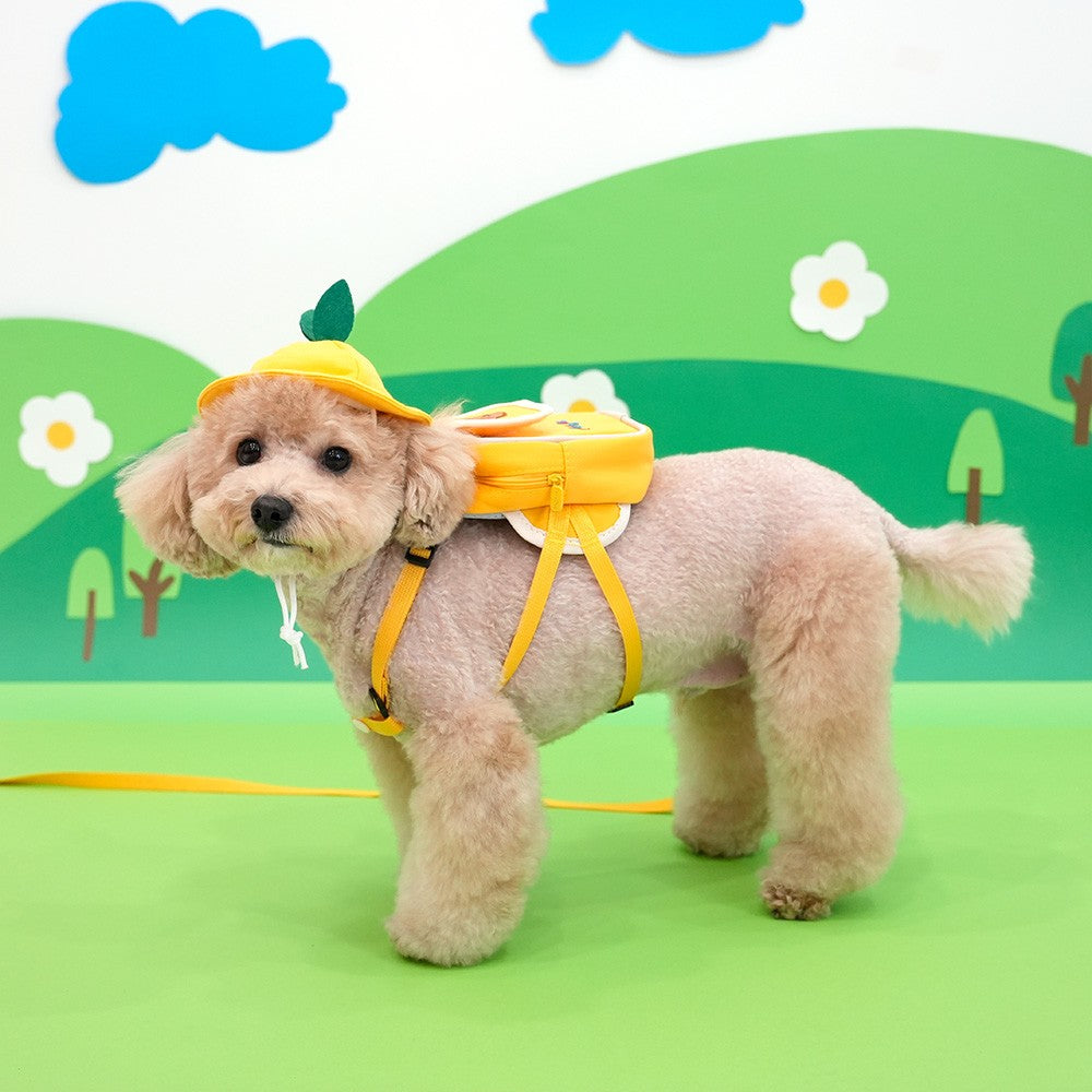 ParisDog Korea Kindergarten Backpack Harness Set for Pets