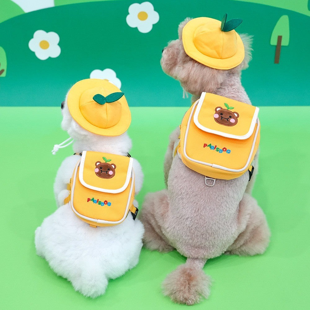 ParisDog Korea Kindergarten Backpack Harness Set for Pets