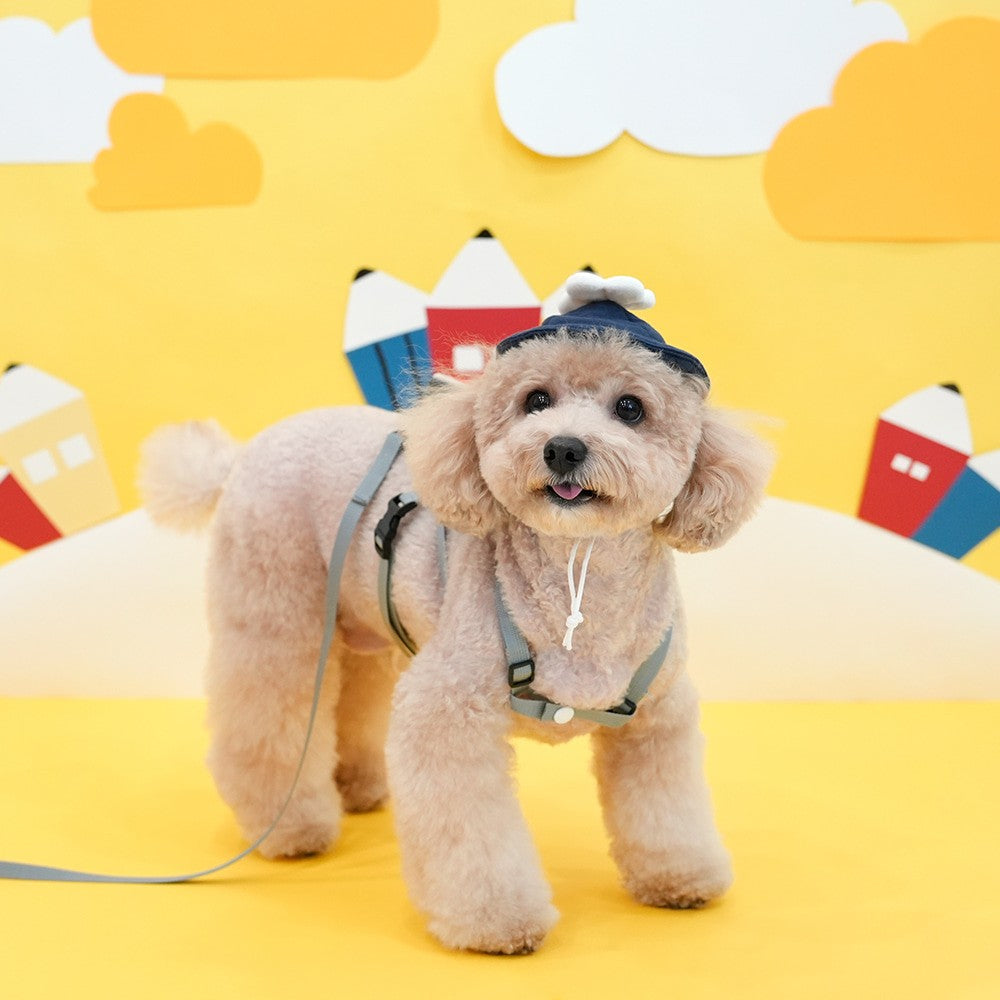 ParisDog Korea Academy Backpack Harness Set for Pets