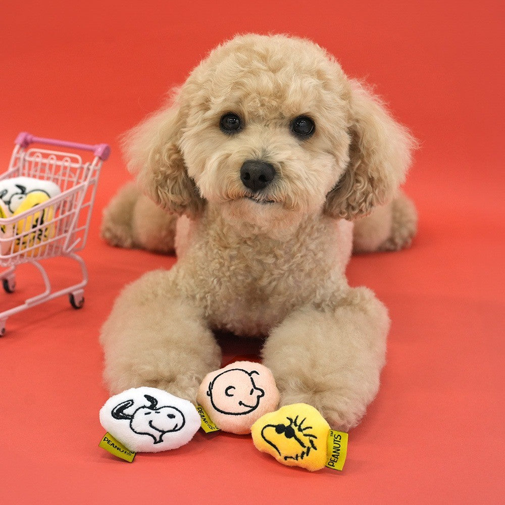 Peanuts Korea Mini Squeaky Plush Toy Set for Dogs