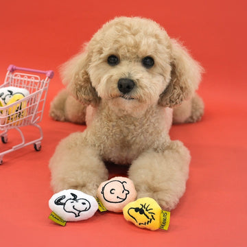 Peanuts Korea Mini Squeaky Plush Toy Set for Dogs