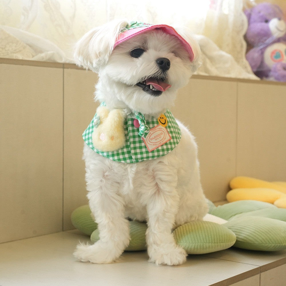 ParisDog Korea Buddy Cap & Cape Set for Dogs