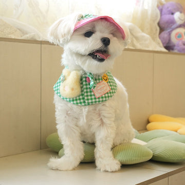 ParisDog Korea Buddy Cap & Cape Set for Dogs