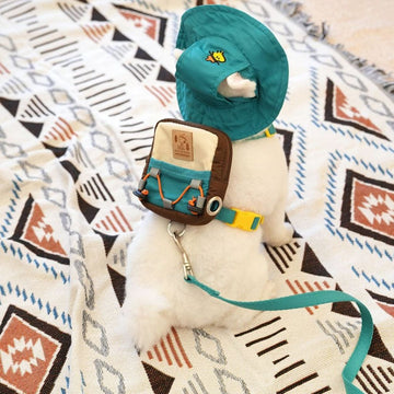 Peanuts Korea Adventure 2-way Backpack Harness Set for Dogs