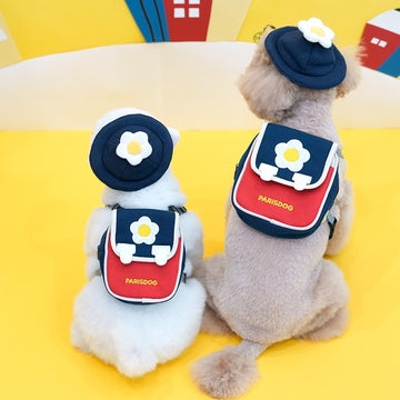 ParisDog Korea Academy Backpack Harness Set for Pets