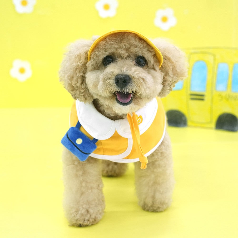 ParisDog Korea Kindergarten Cap & Cape Set for Pets