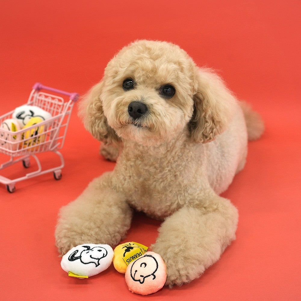 Peanuts Korea Mini Squeaky Plush Toy Set for Dogs