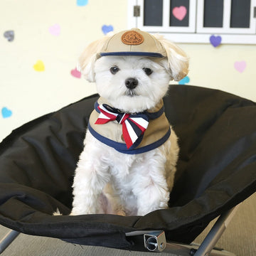 ParisDog Korea Trench Cap & Cape Set for Dogs