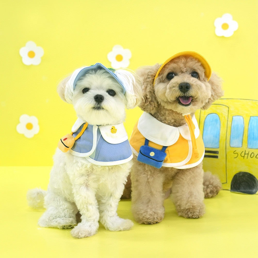 ParisDog Korea Kindergarten Cap & Cape Set for Pets