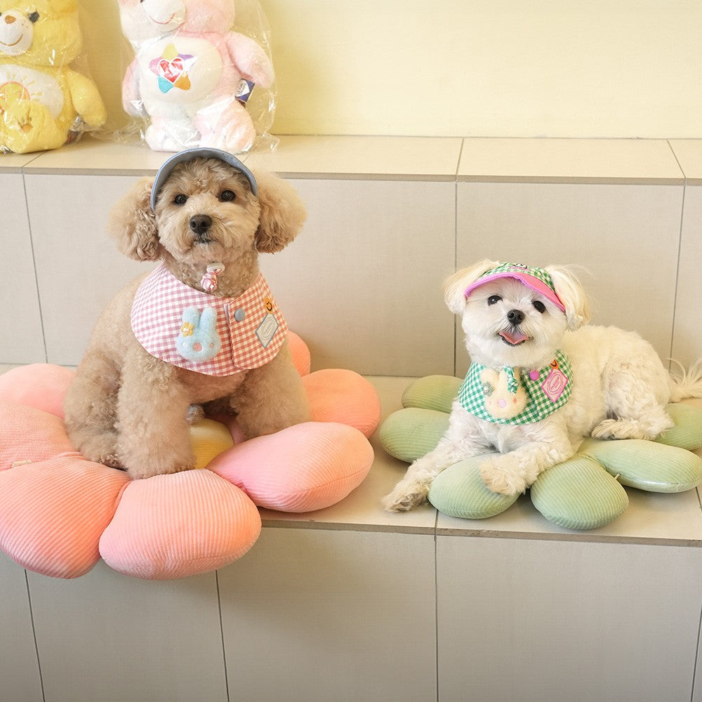 ParisDog Korea Buddy Cap & Cape Set for Dogs