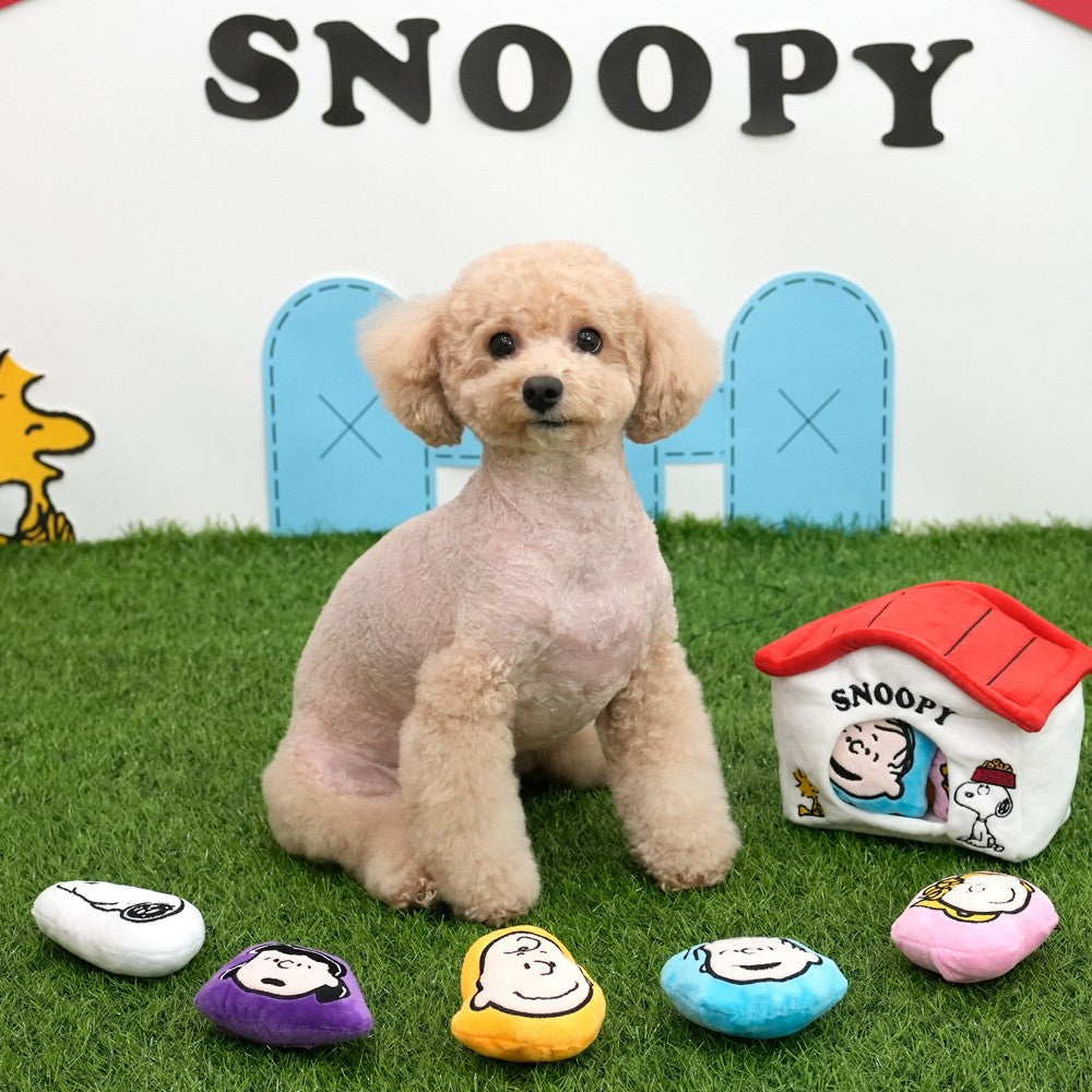 Peanuts Korea House Snuffle Toy Set for Dogs